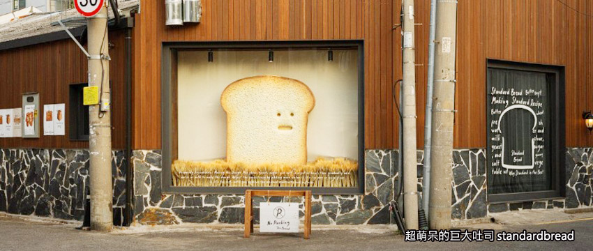 聖水洞最火紅「超萌呆的巨大吐司standardbread」